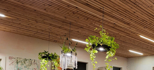 Architecture Design Consulting